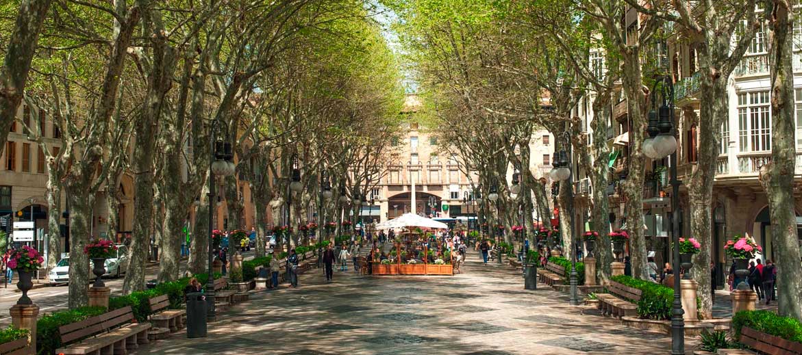 Paseo del Borne